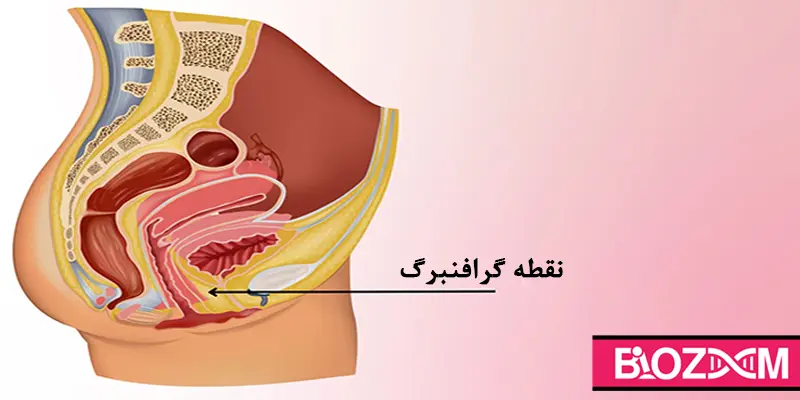 نقطه گرافنبرگ