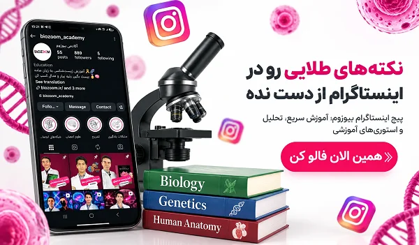 اینستاگرام بیوزوم