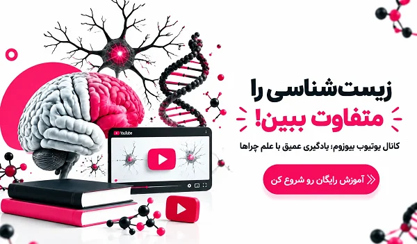 یوتیوب بیوزوم