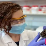 12 thousand year old brains with soft tissue