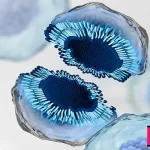 همه چیز درباره اگزوزوم