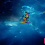 همه چیز درباره میکروRNA ها
