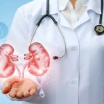 دستگاه دفع ادرار سیستمی است که وظیفه اصلی آن تصفیه خون و حفظ فشار اسمزی بدن است