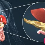 Anatomy of the human digestive system