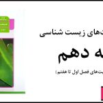 جواب فعالیت های زیست دهم