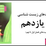 جواب فعالیت های زیست یازدهم