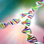 همانند سازی DNA چگونه انجام میشود؟