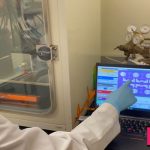 Human disease simulator