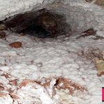 New Group of Antibiotics Isolated from Moonmilk Deposits