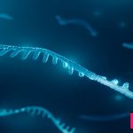 ?What is RNA