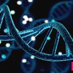 What is a gene