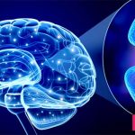 نوروترنسمیتر یا انتقال دهنده ی عصبی چیست