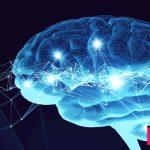 انعطاف‌پذیری عصبی یا نوروپلاستیسیتی