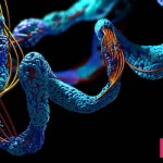 هیبریدهای DNA-پروتئین