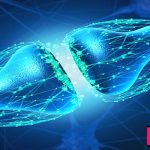 سیناپس عصبی چیست